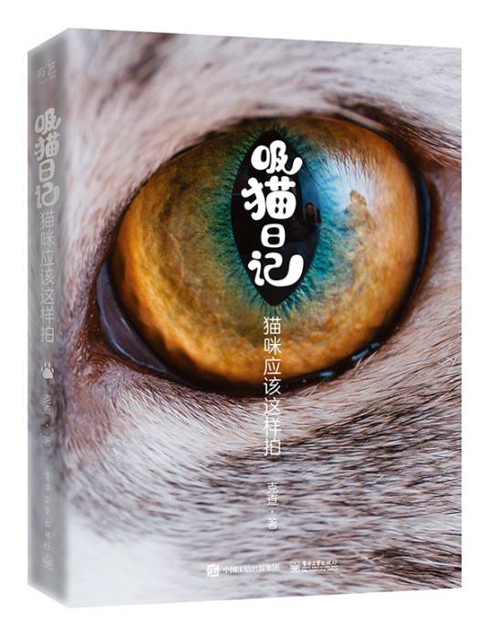猫放时光 下班吸猫日常记录