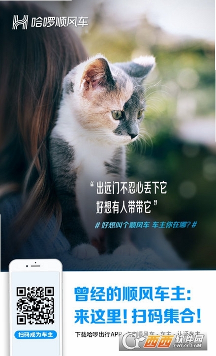 哈顺风车运行截图