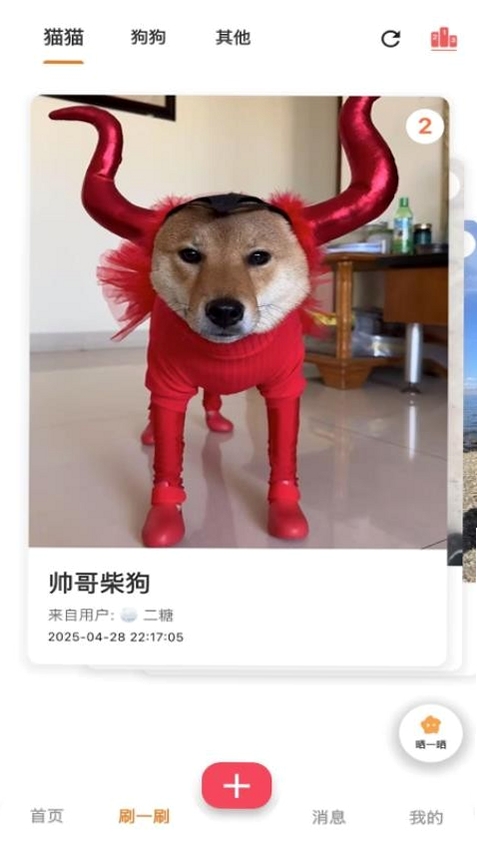 爪爪巴士 使用教程