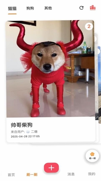 爪爪巴士运行截图