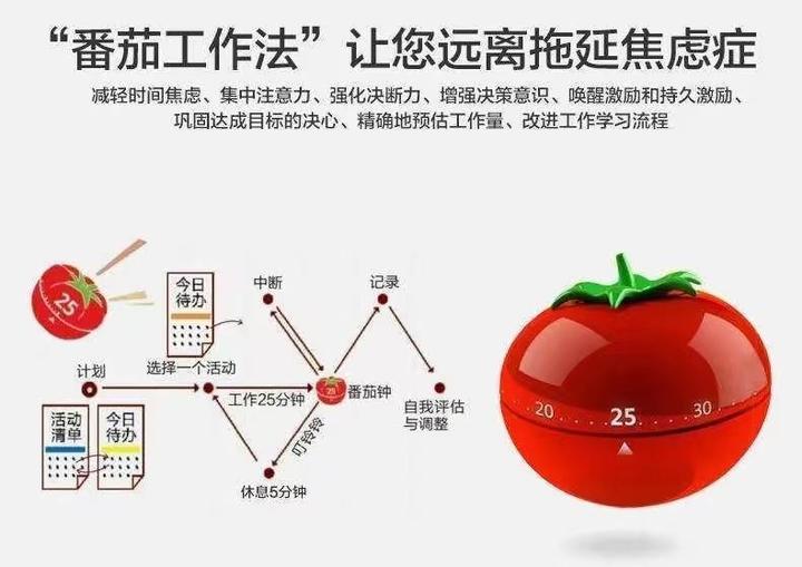 管+ 番茄钟 数据统计 工作效率分析