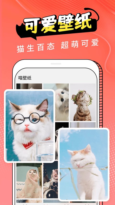 动物交流器猫咪版运行截图