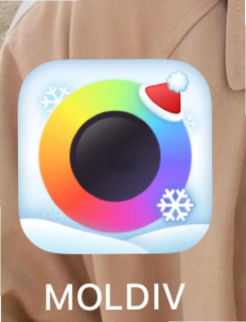 MOLDIV运行截图
