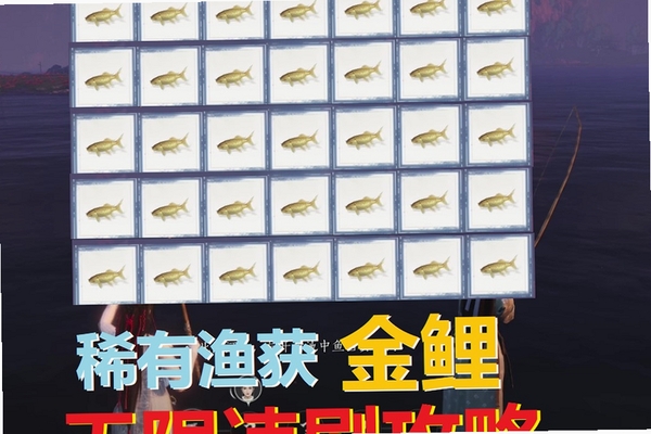 金鲤网络管家王 安全吗