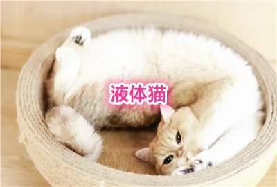 Һ��è����app���عٷ�_Һ��è��׿������_Һ��è����app