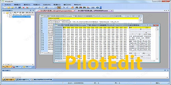 PilotEdit Pro 21���ļ���� ���ļ��༭�� �����ͼ