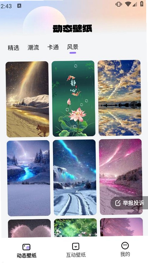 灵动主题桌面壁纸运行截图