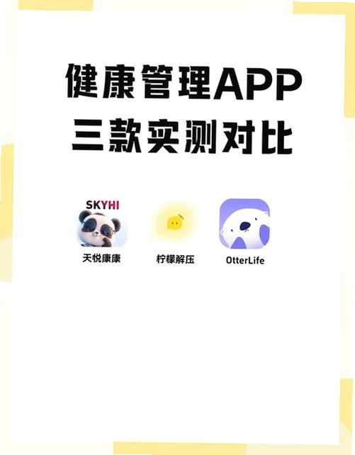 天天健康追踪运行截图