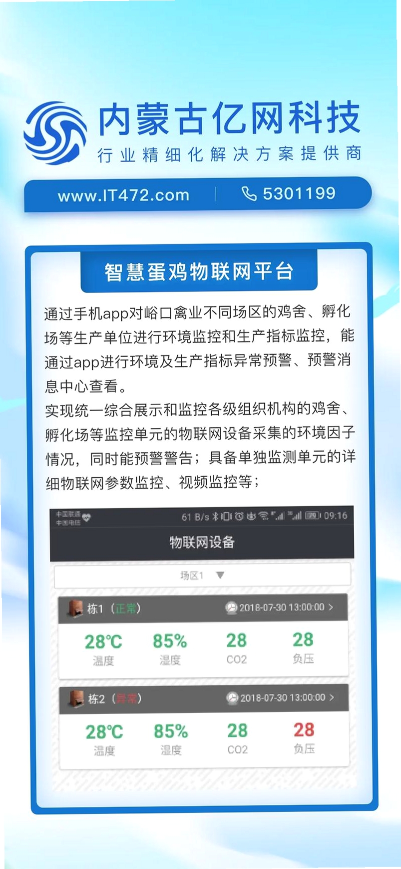 蛋窝网运行截图