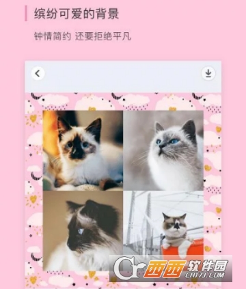 pins����ƴͼapp