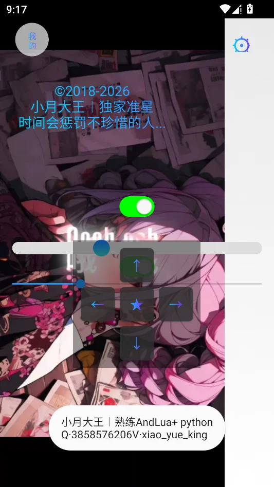 小月大王准星运行截图