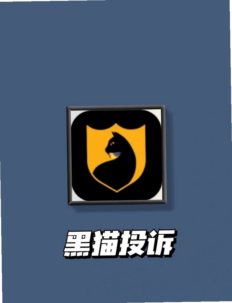 黑猫投屏运行截图