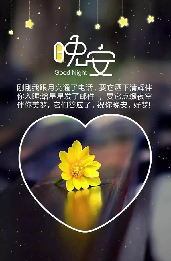 星语心愿深夜树洞晚安语录分享