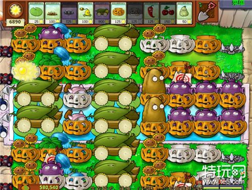 植物大战僵尸西塔版无尽模式向日葵进化优先级分析