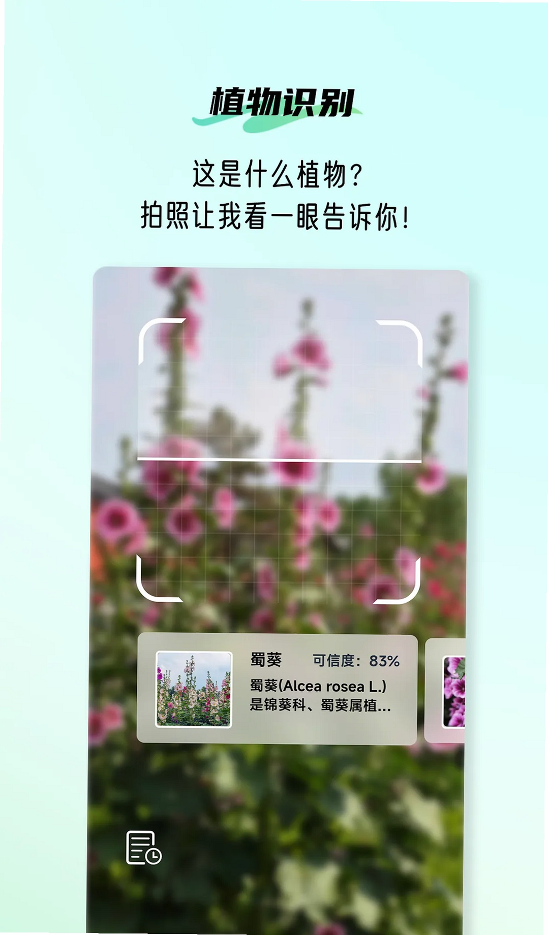 植侣运行截图