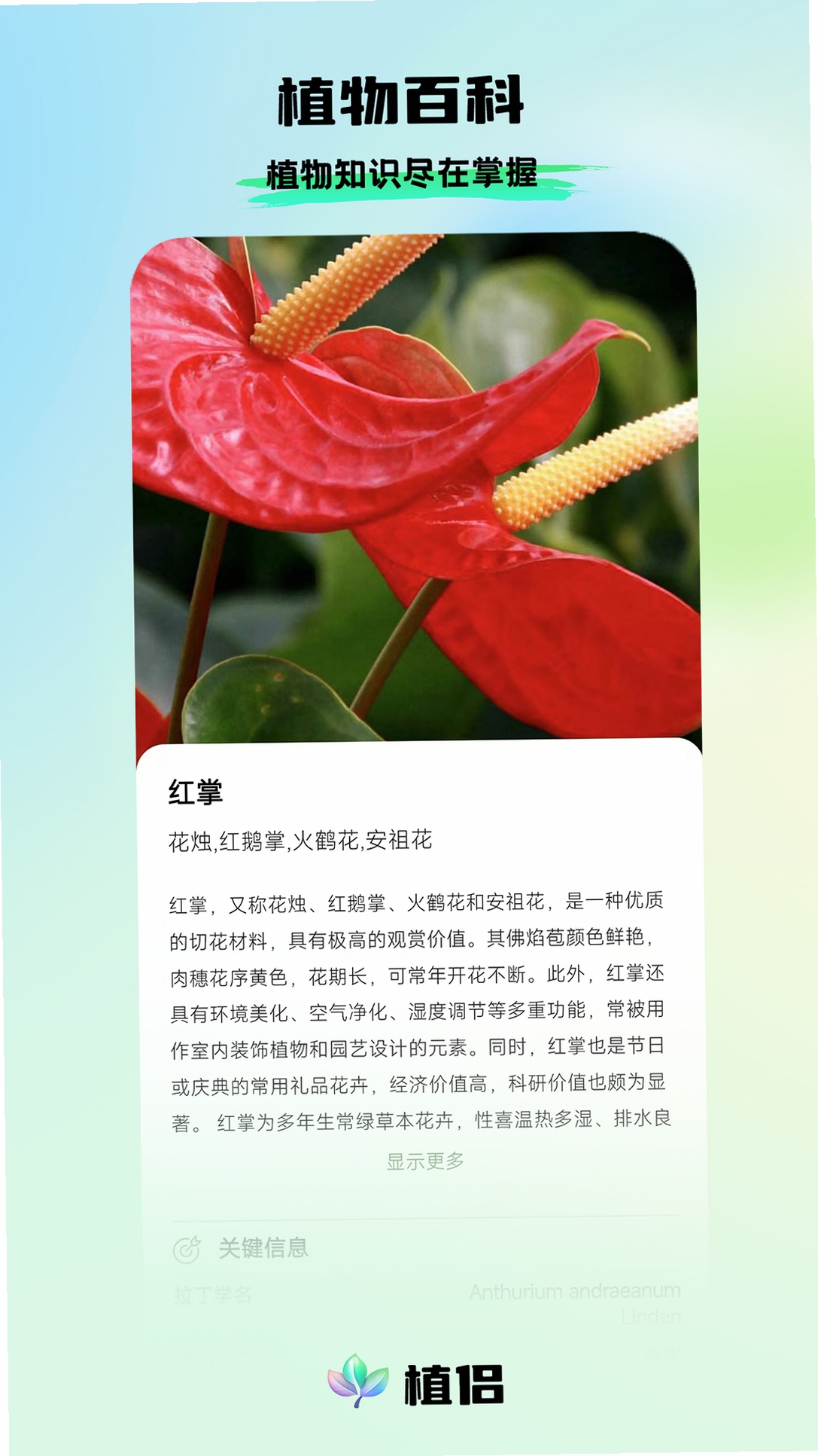 植侣运行截图