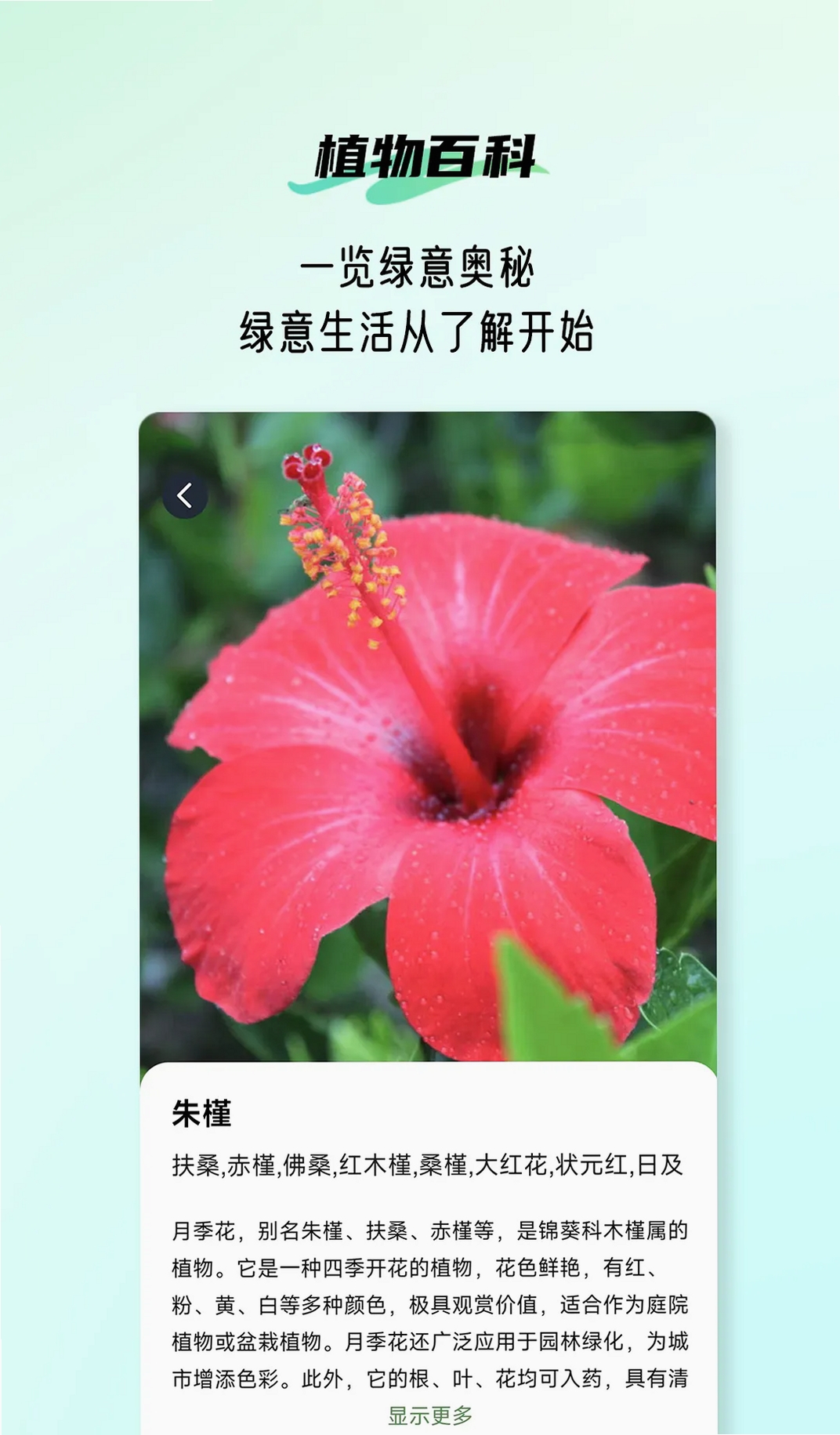 植侣运行截图
