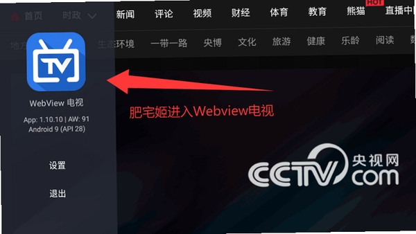 webview电视直播 安装教程 安卓手机
