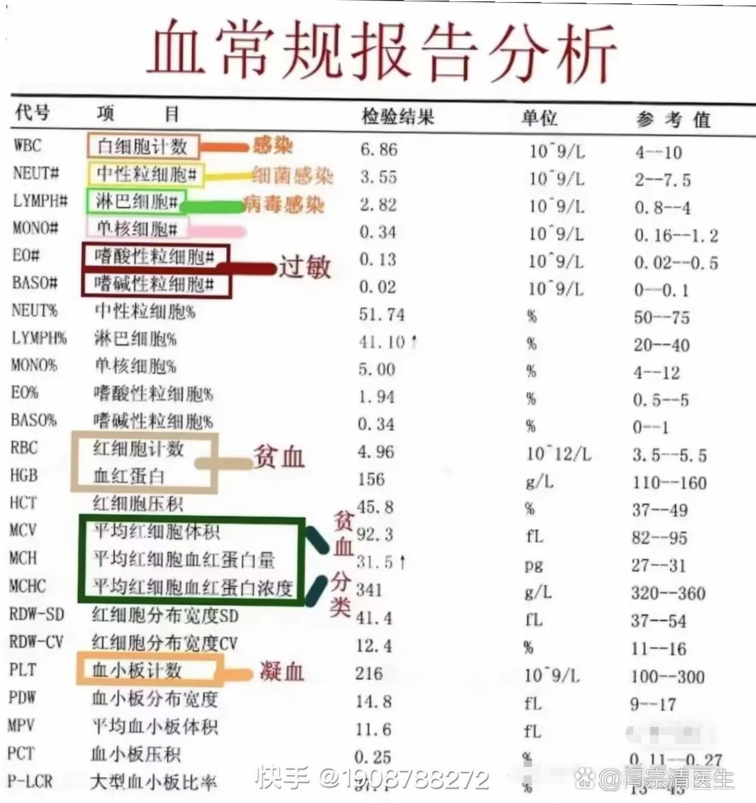 安吉血液 报告查询