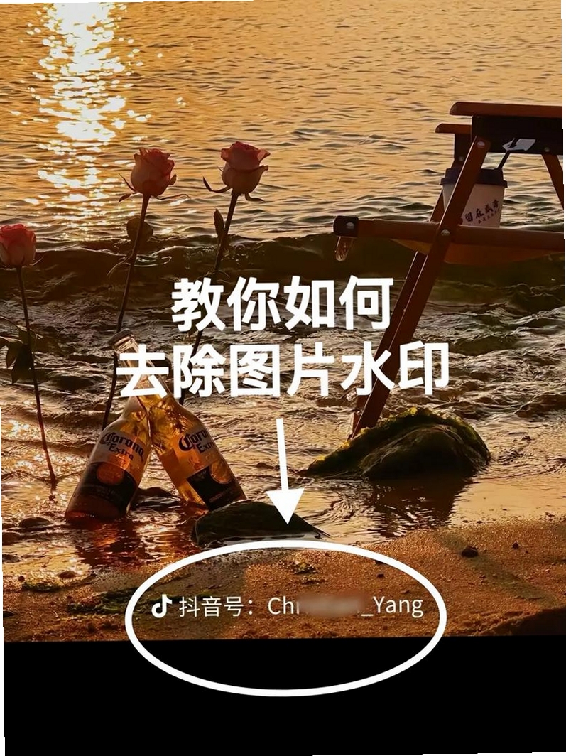 图片视频去水印运行截图