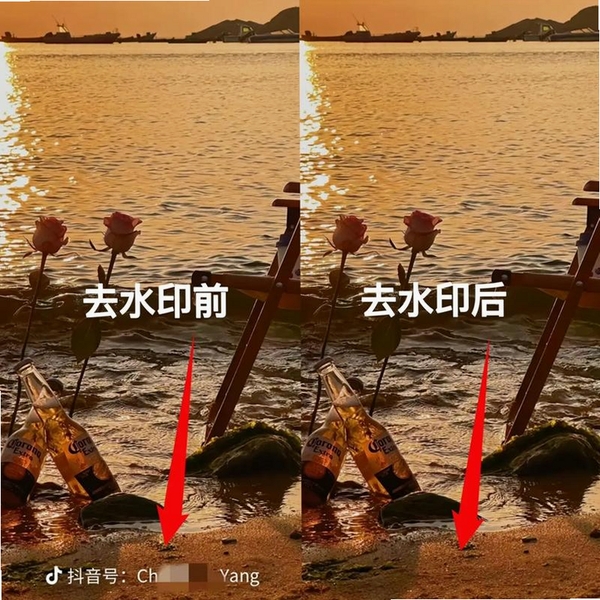 图片视频去水印运行截图