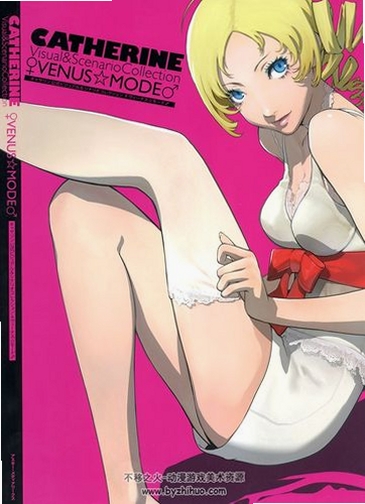 Catherine The Vampire运行截图