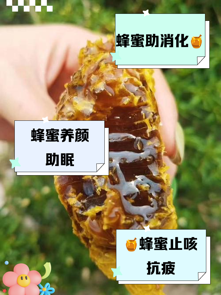 蜂知芽 是什么 功效与作用 食用方法 全解析