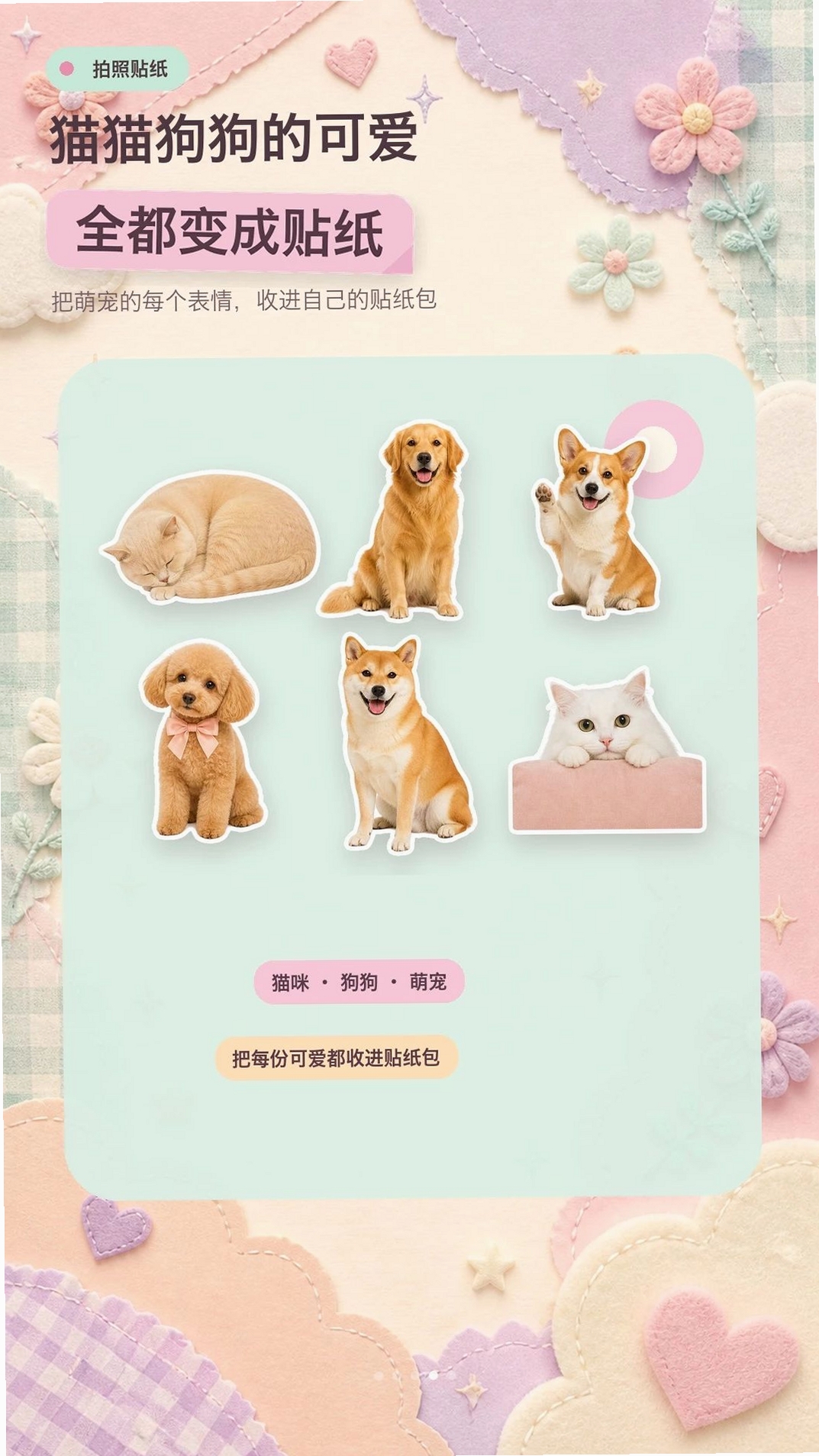拍照贴纸相机运行截图