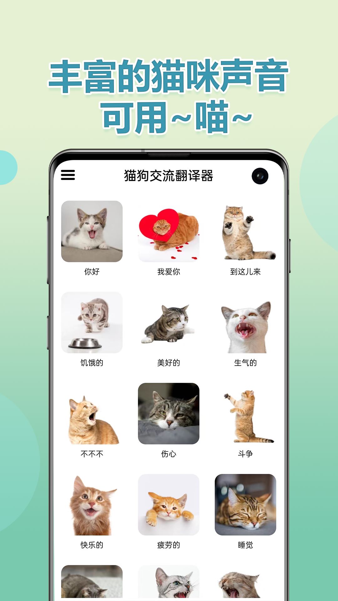动物交流器猫咪版 实测体验 猫咪翻译app