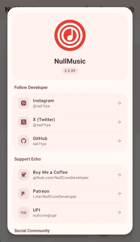 NullMusic音乐运行截图