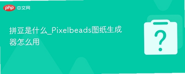 PIX拼豆生成器使用教程