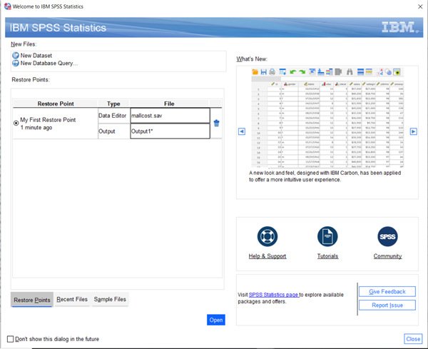 IBM SPSS Statistics 27中文免费版运行截图