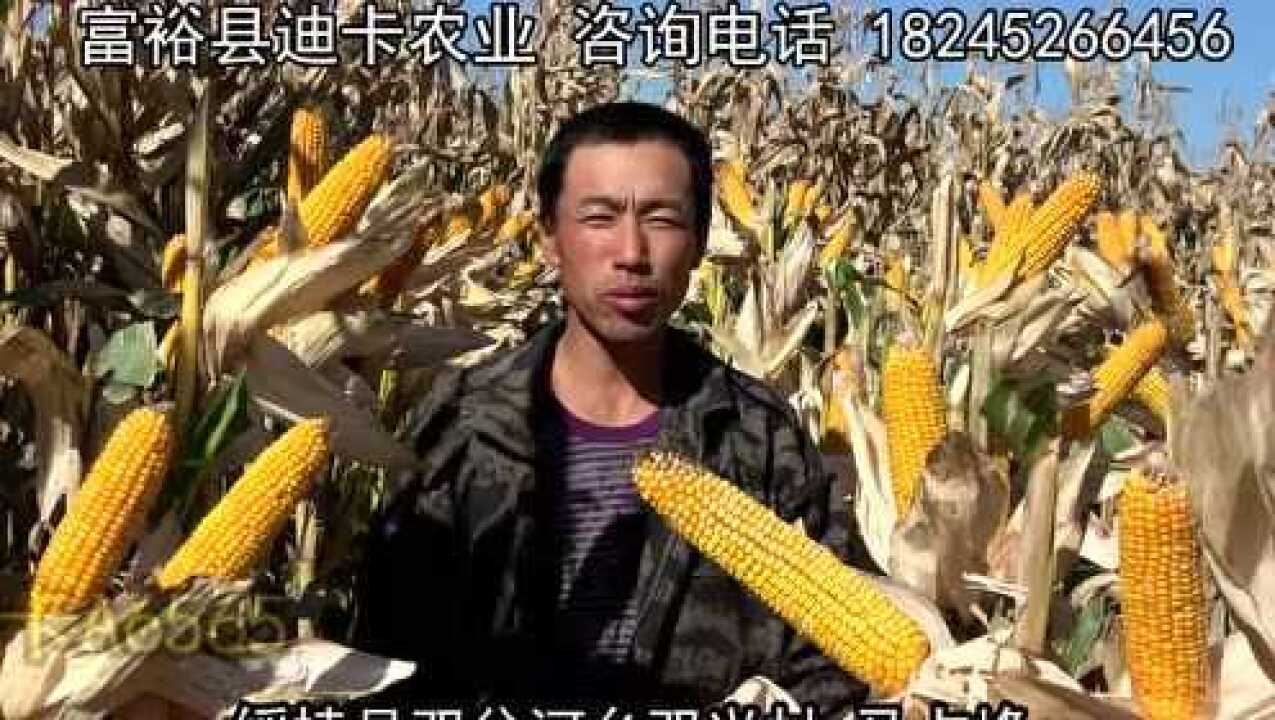 玉米视频直播 高清流畅 观看体验