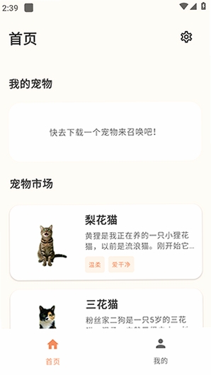 空鱼桌面宠物 安装教程 悬浮窗设置