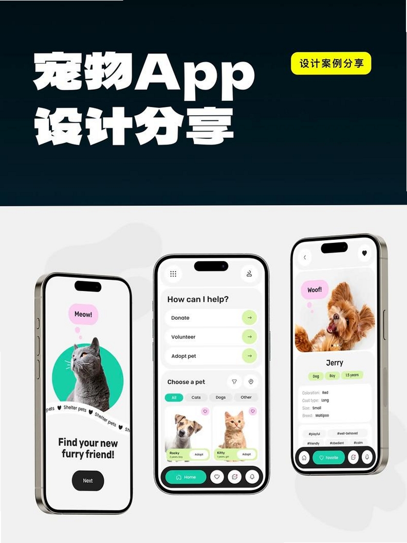 空鱼桌面宠物运行截图