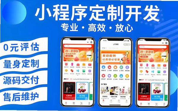 旺小宝运行截图