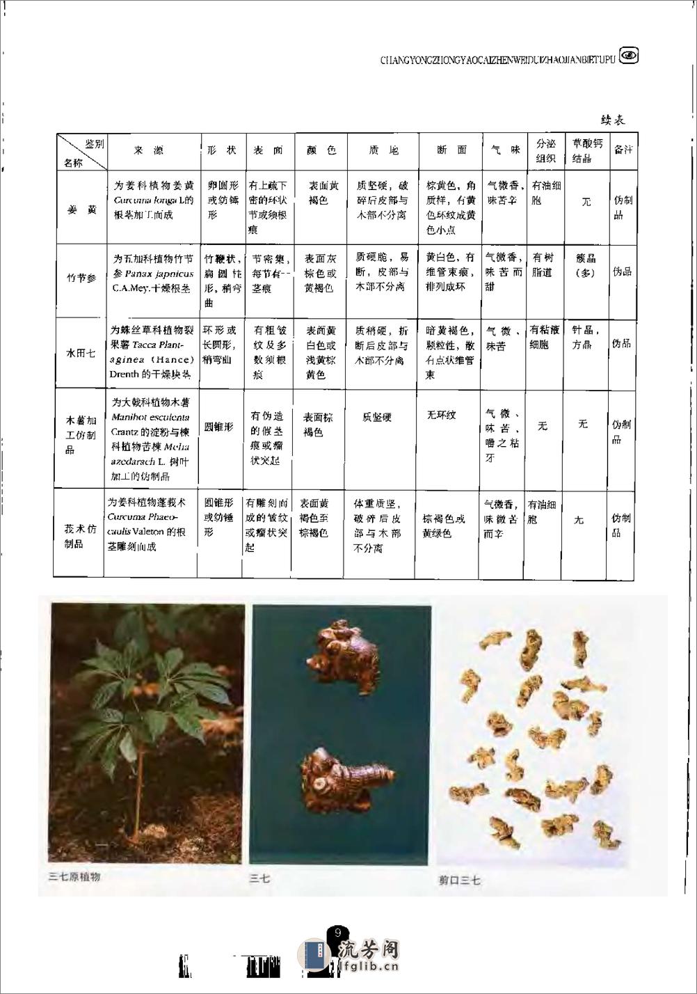 快麻 选购 真假辨别 中药知识
