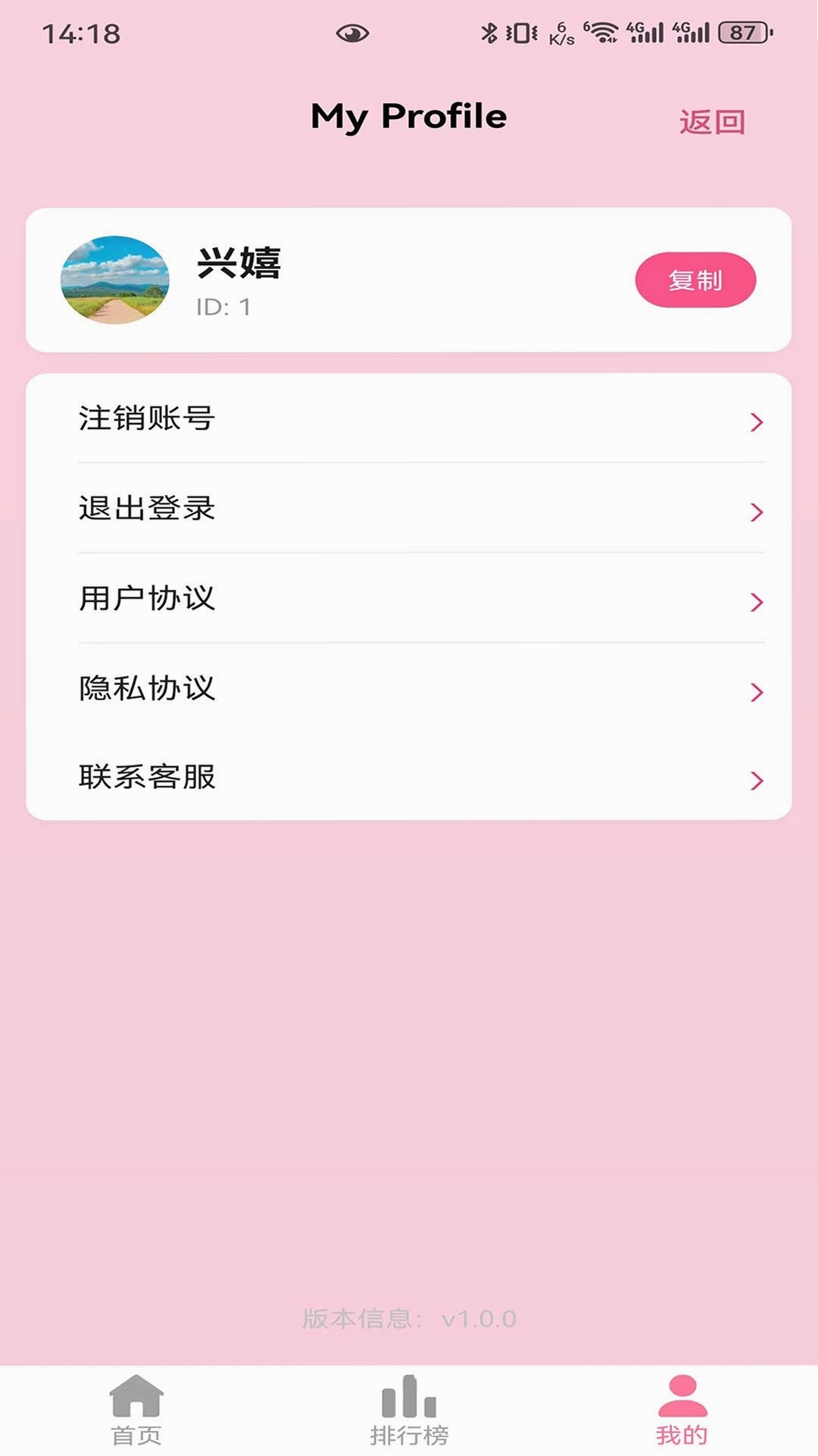 兴嬉运行截图
