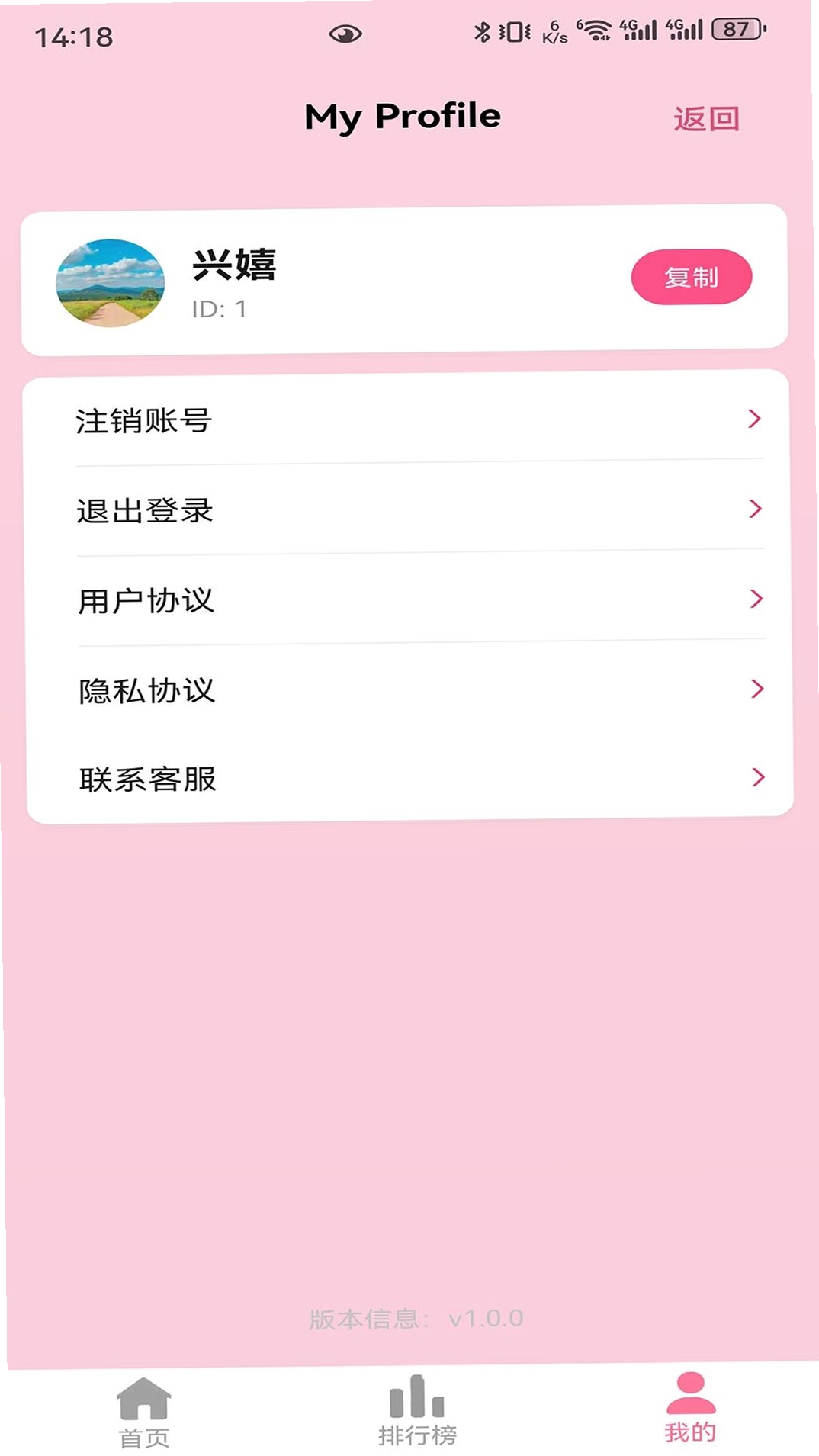 兴嬉运行截图