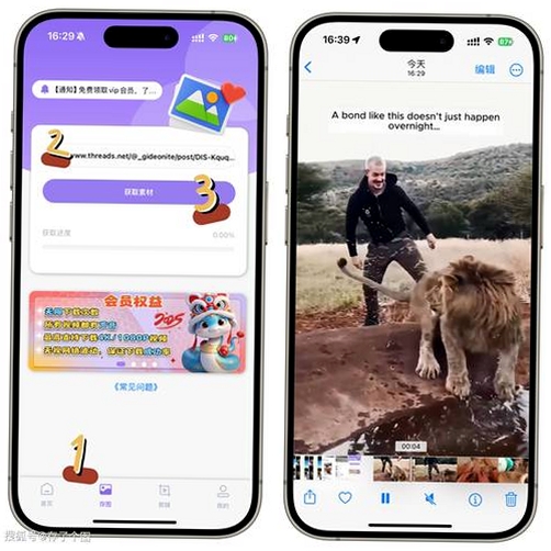 斯圈运行截图