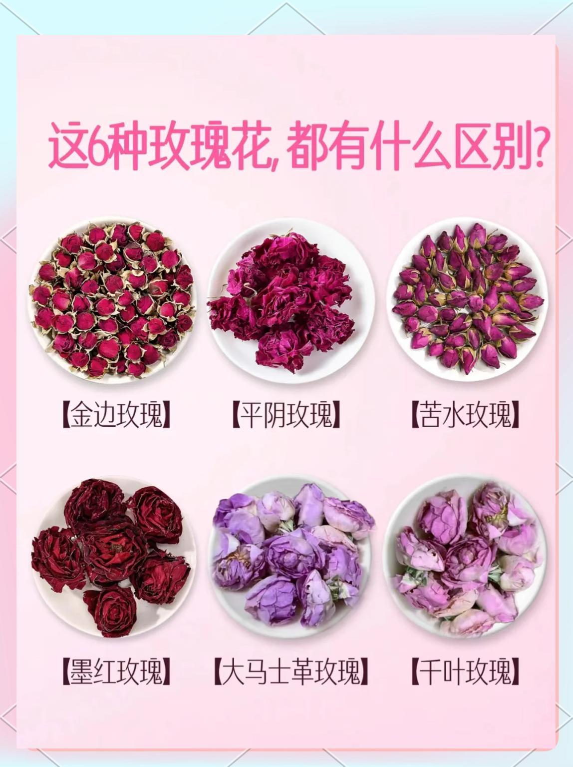 媒瑰花功效作用食用方法禁忌大全