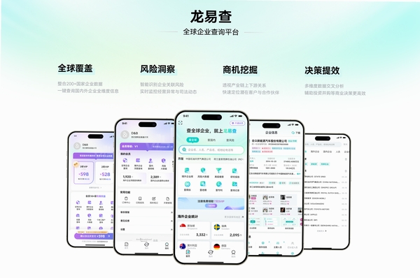 龙易查 使用教程