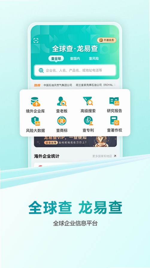 龙易查运行截图