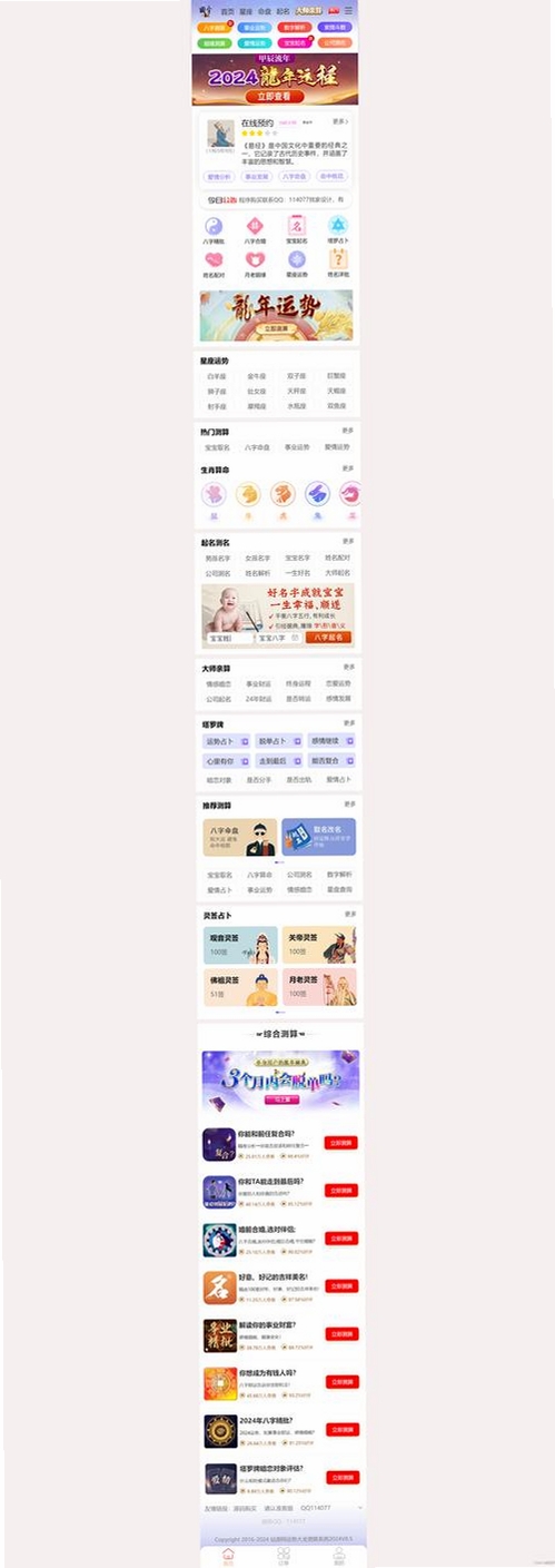 龙易查运行截图