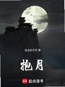 抱月 阅读 界面