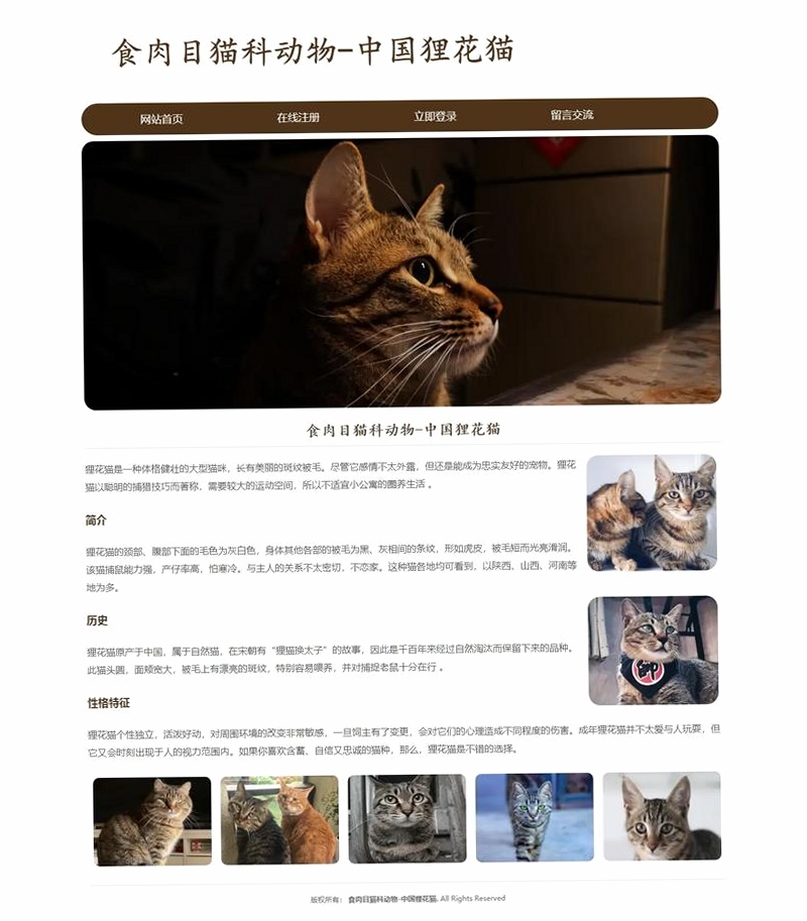 花猫运行截图