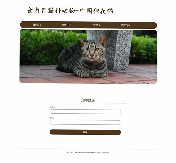 花猫运行截图