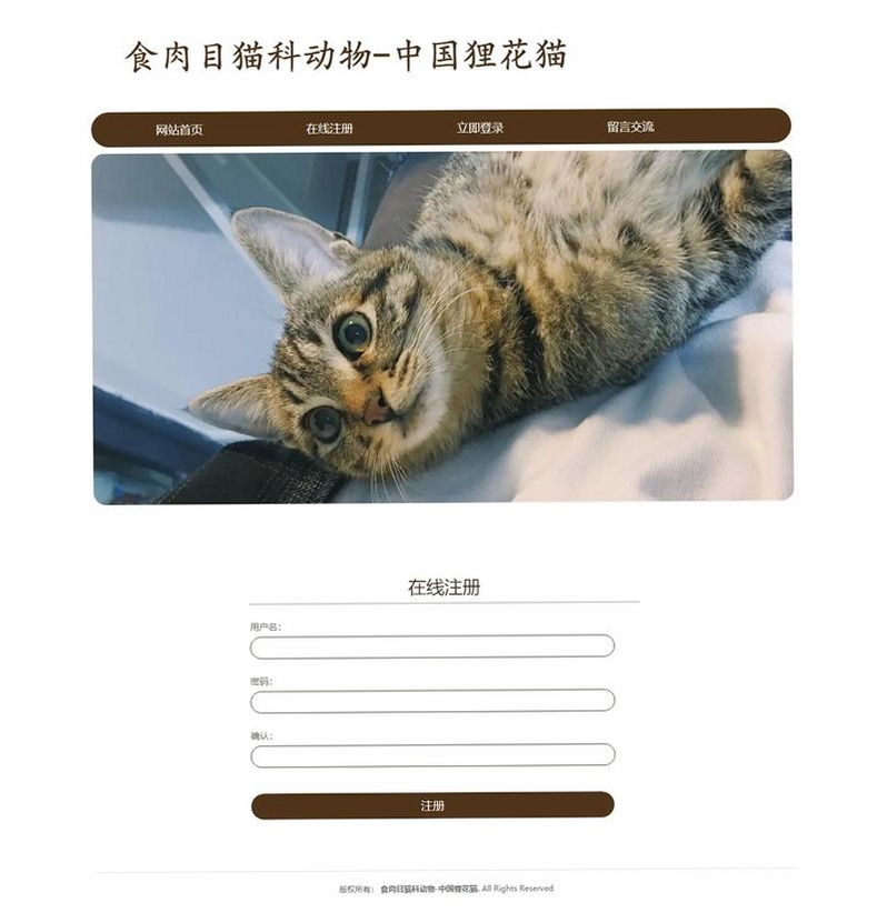 花猫运行截图