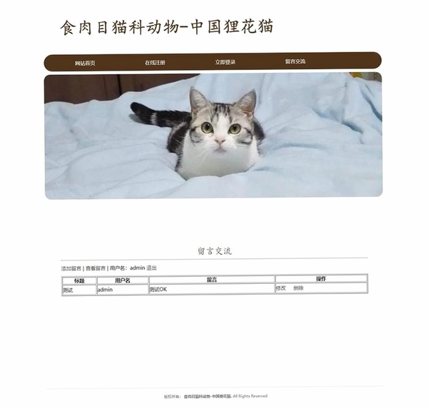 花猫运行截图