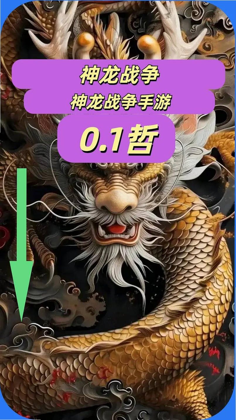 神龙战争运行截图